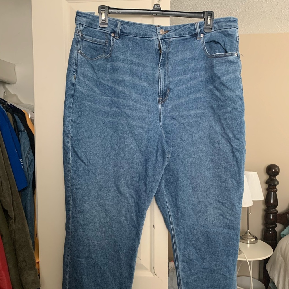 American Eagle Plus Size Mom Jeans
